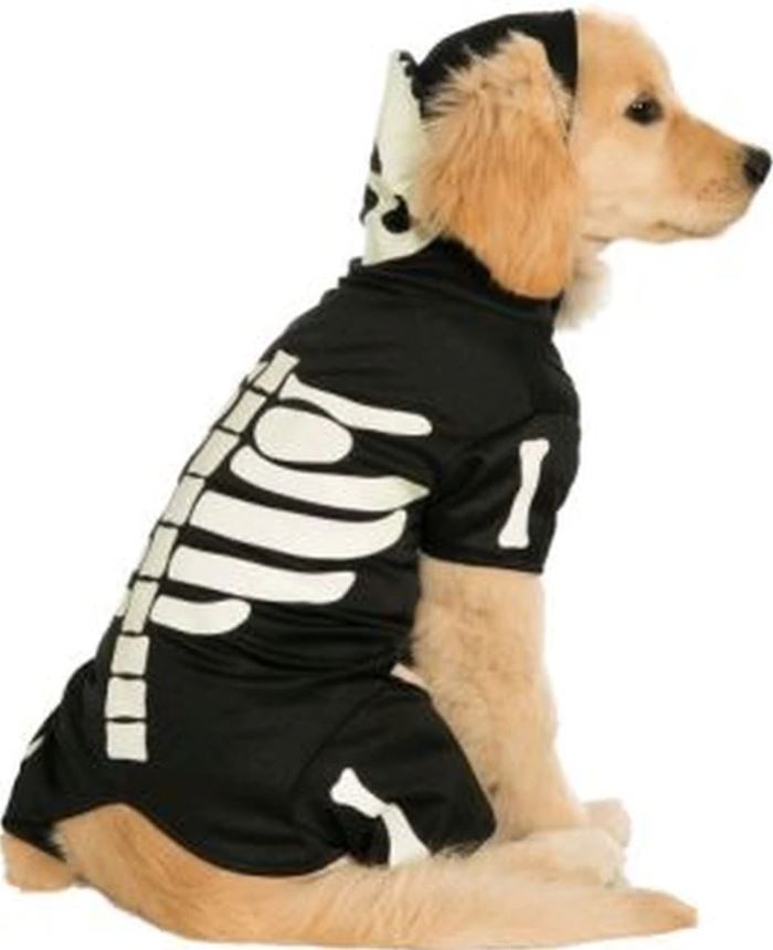 Skeleton Pet Costume Skeleton Pet Costume