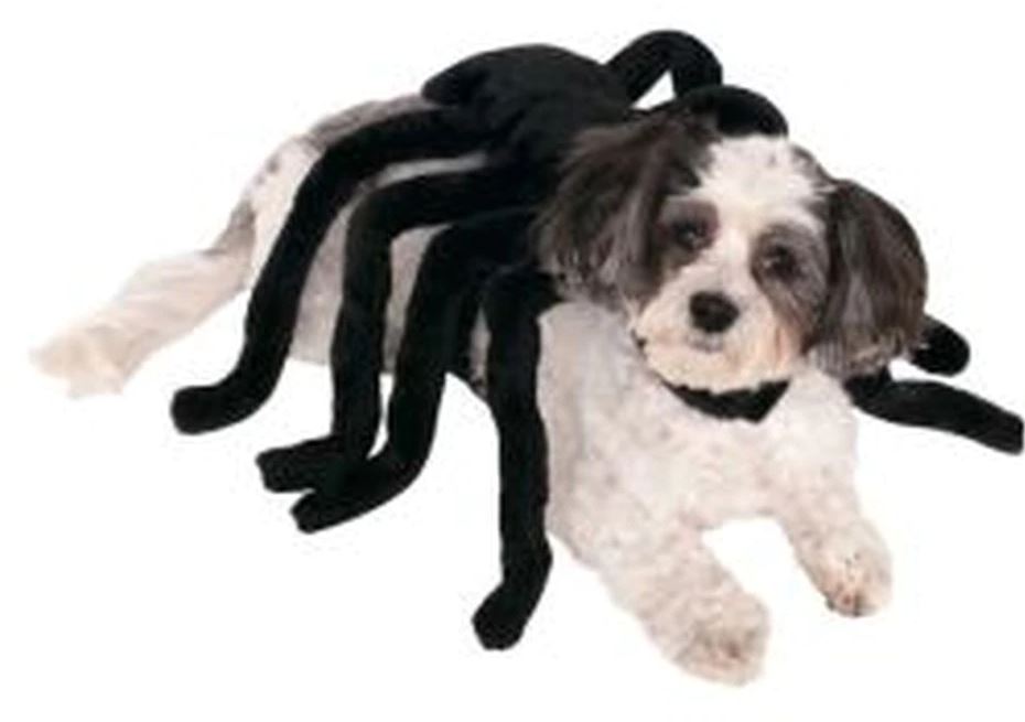 Spider Pet Costume Spider Pet Costume