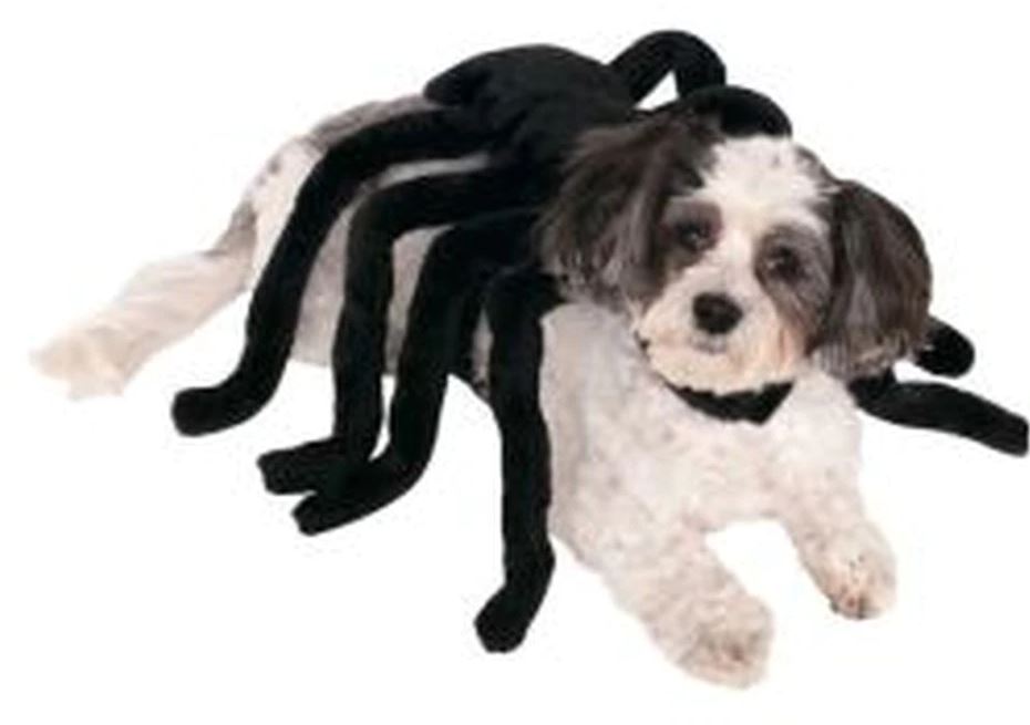 Spider Pet Costume